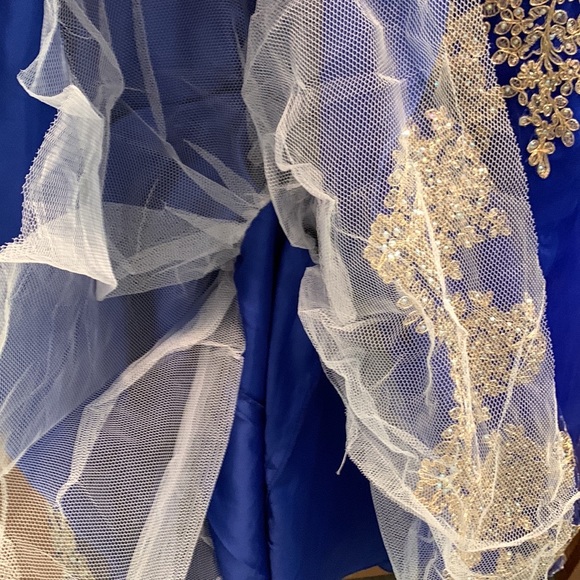 Cinderella Couture formal dress - Picture 8 of 15